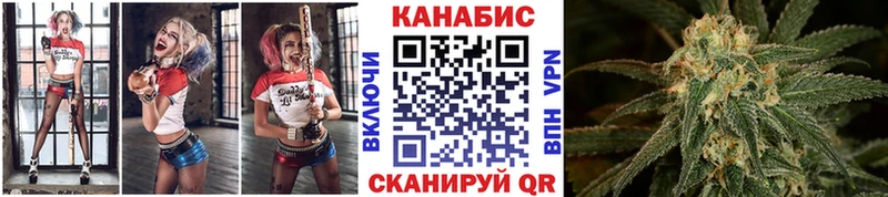 Продажа наркотиков Олонец ГАШ СОЛЬ МЕФ МАРИХУАНА