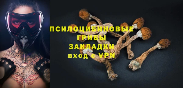 сатива Алексеевка