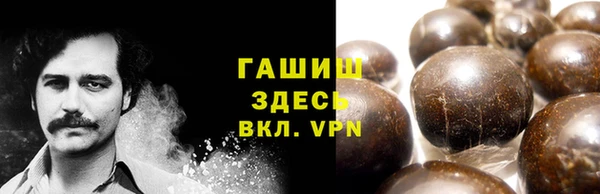 прущие грибы Алзамай