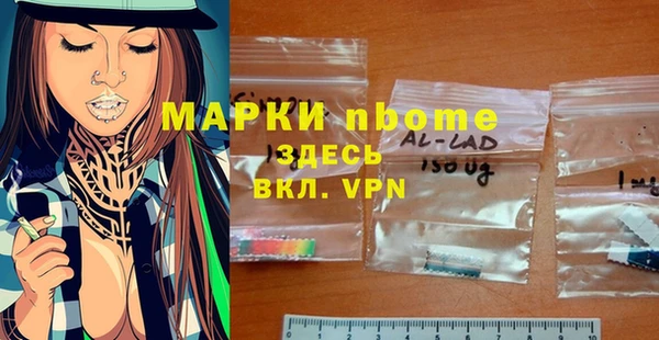 прущие грибы Алзамай