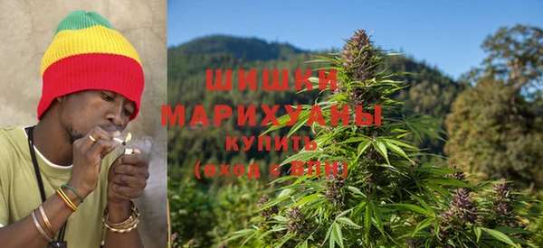 сатива Алексеевка