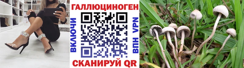 Галлюциногенные грибы ЛСД  Олонец 
